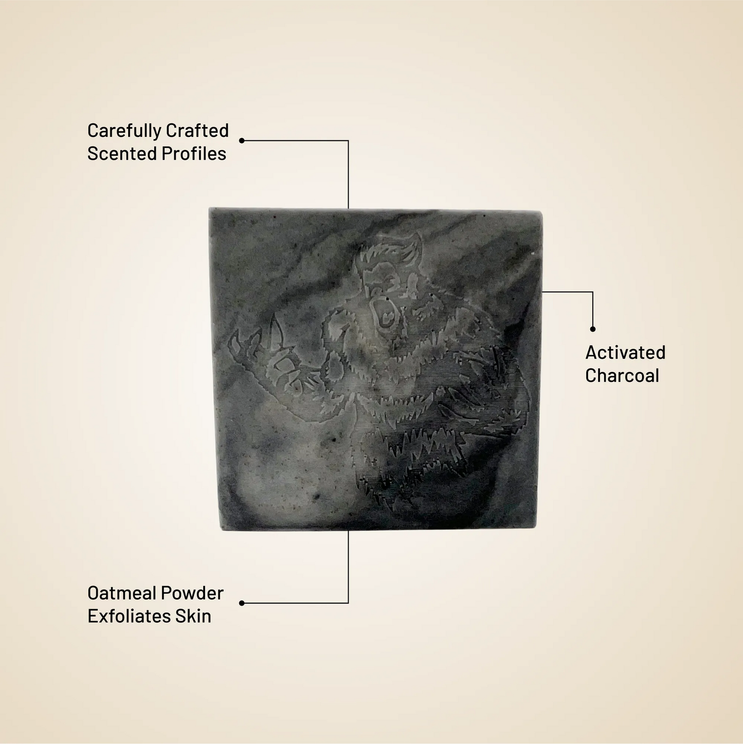 Square soap bar, dark charcoal color, with feature callouts (activated charcoal, oatmeal powder)