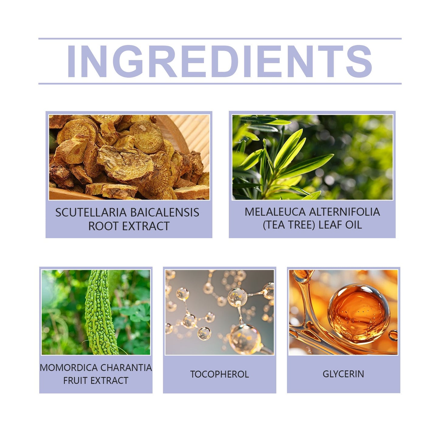 Acne pimple patch ingredient images showing plant extracts, tea tree oil, and glycerin
