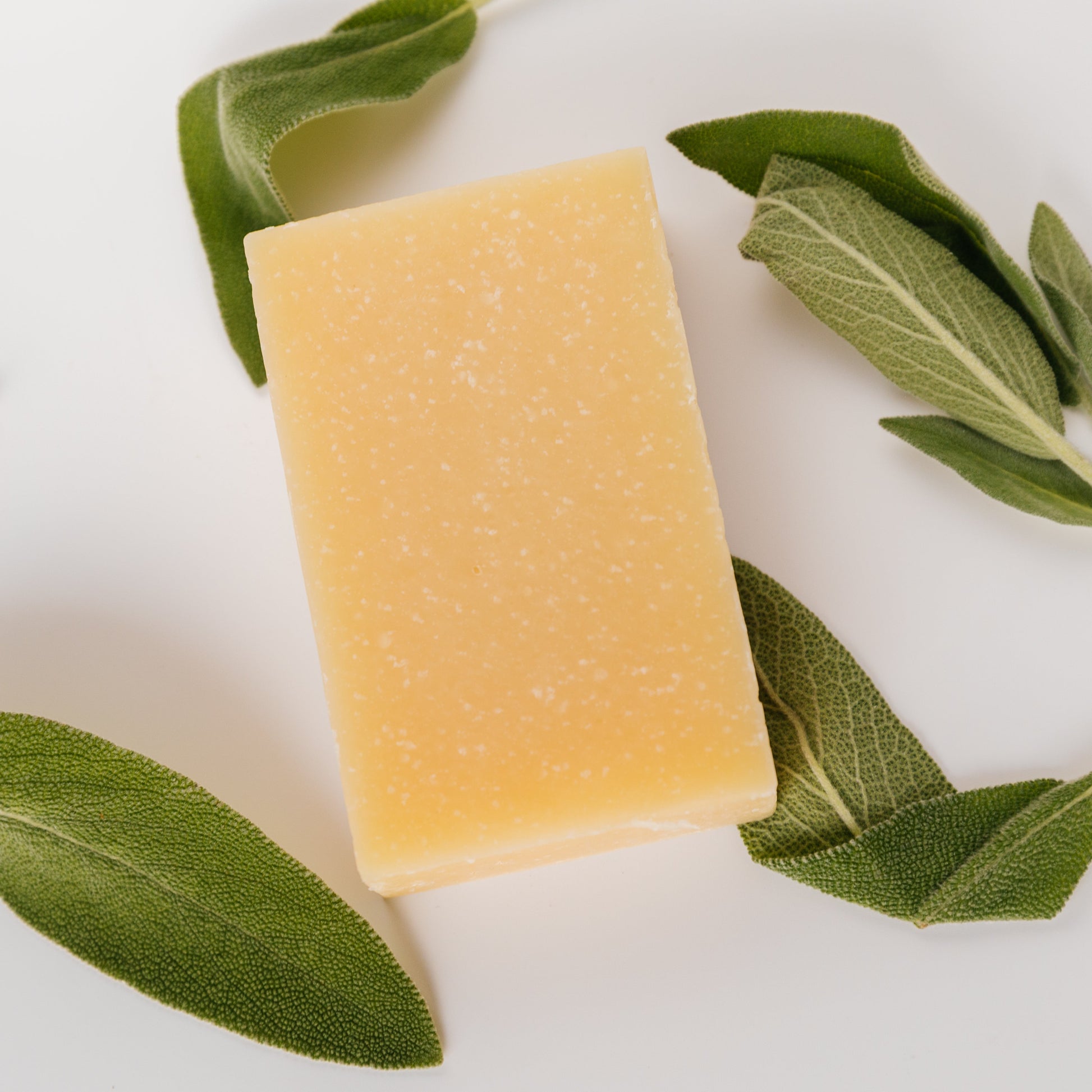 Exfoliating bar soap bar, pale yellow with salt-like specks, with sage leaves