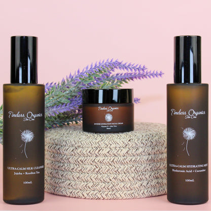 Skincare bottles and facial cream jar, three-piece skincare set