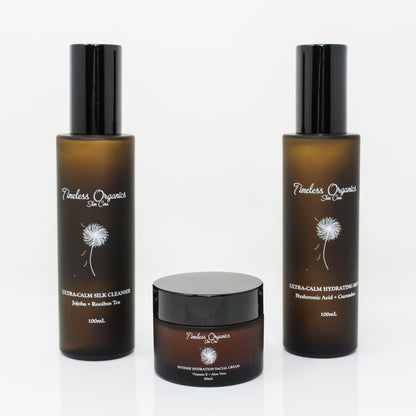 Skincare cleanser and moisturizer bottles with facial cream jar, 3-piece set